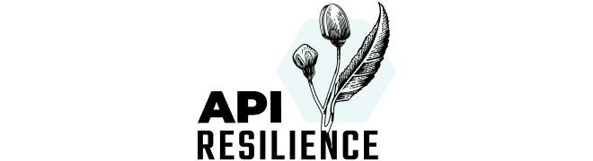 API Resilience podcast logo