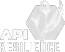 API Resilience