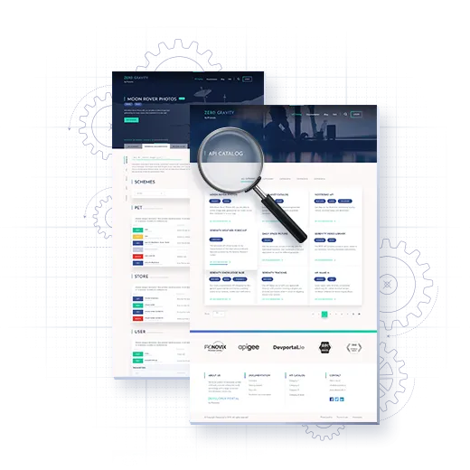 researching about developer portal screenshots with a magnifying lens