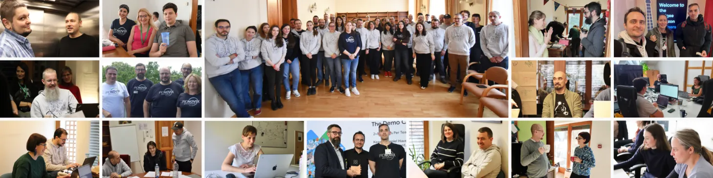collage of Pronovix colleagues